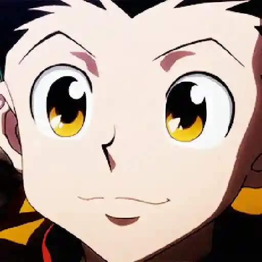 Hunter x hunter 25