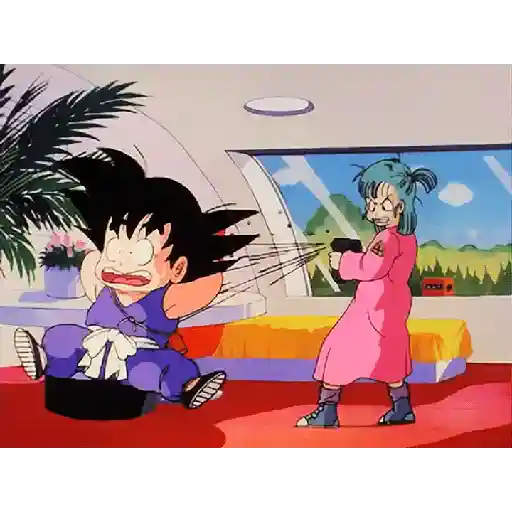 DragonBall 19