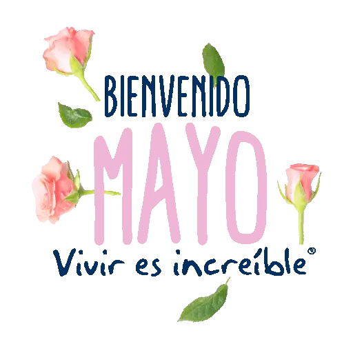 Meses del año 🗓 1