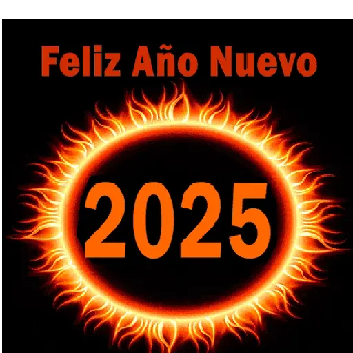 Feliz año nuevo 2025😎 15