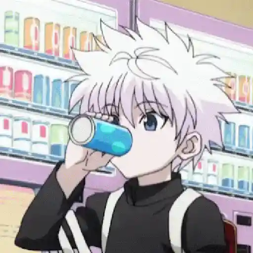Hunter x hunter 8