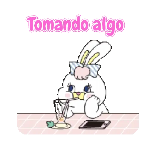 RABBIT CUTE 🐇😊 4