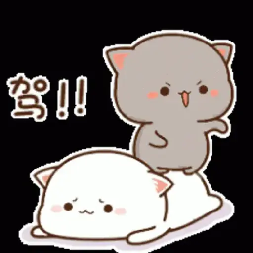 Mochi 14