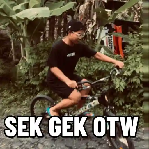 Airly's 8