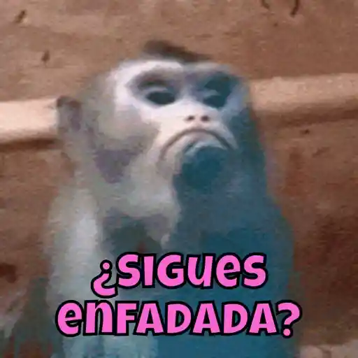 Mal humor 18