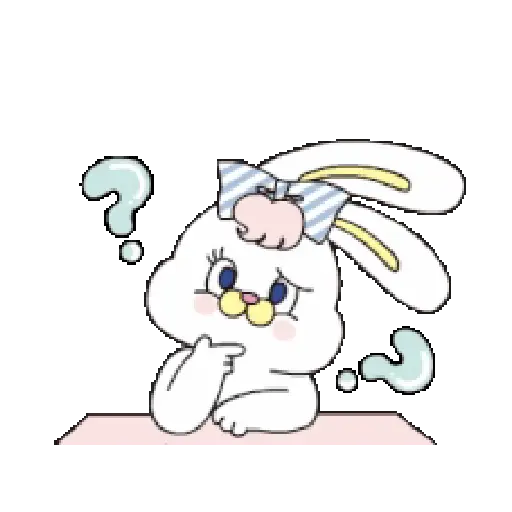 RABBIT CUTE 🐇😊 5