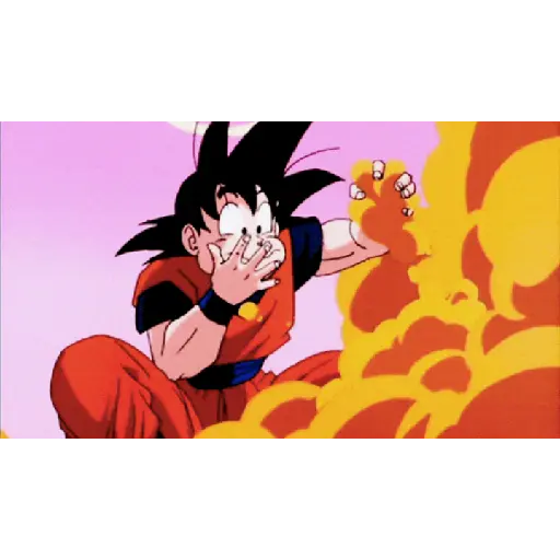 DragonBall 14