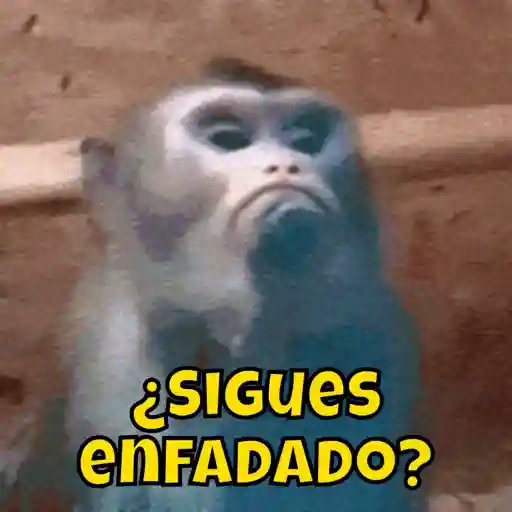 Mal humor 17