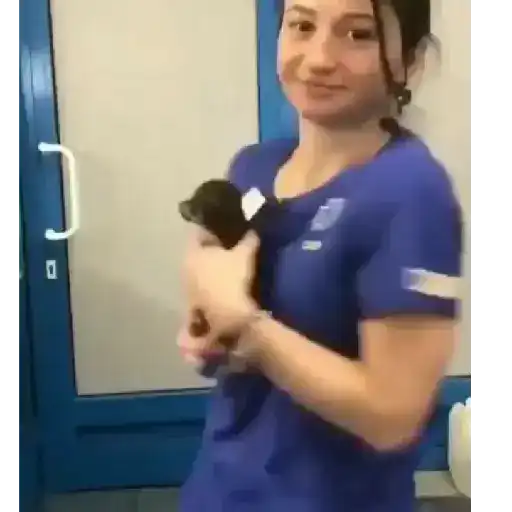 Sex00000099 14