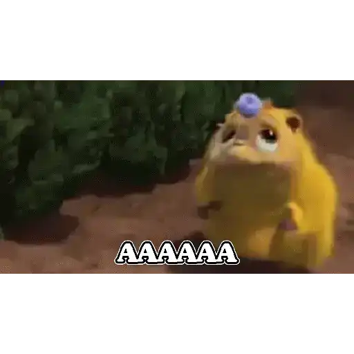 Gifs 4