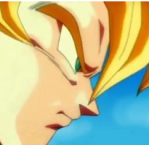 Goku 24