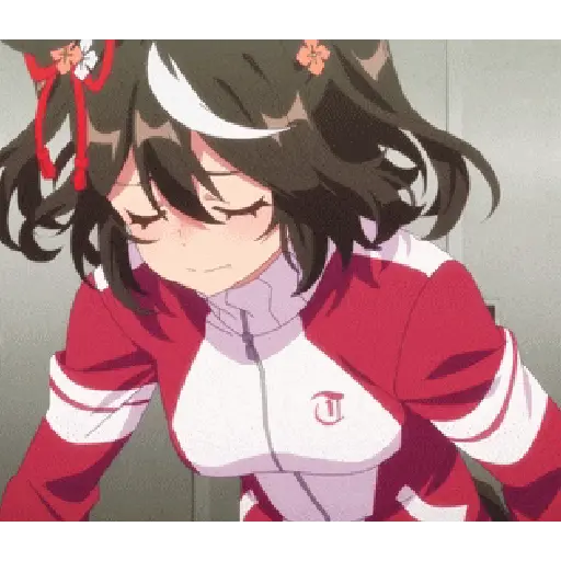 Animani 8
