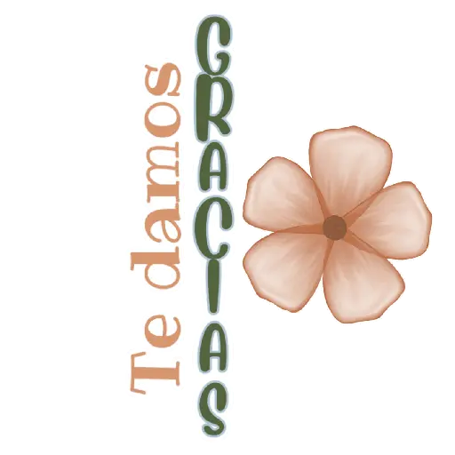 ▪︎GRATITUD  9