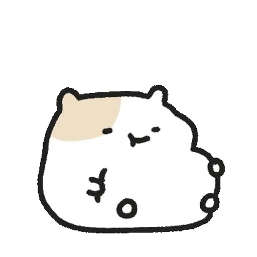 HÀMSTER LOVES✨🐹 12