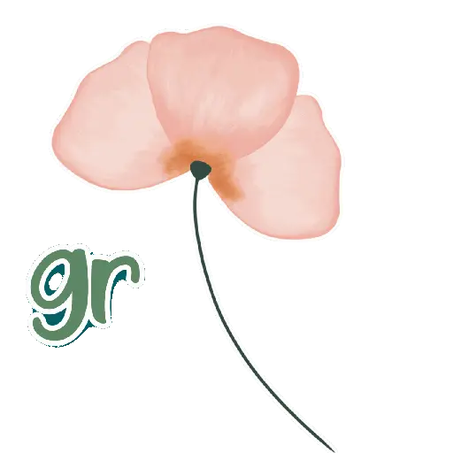 ▪︎GRATITUD  4