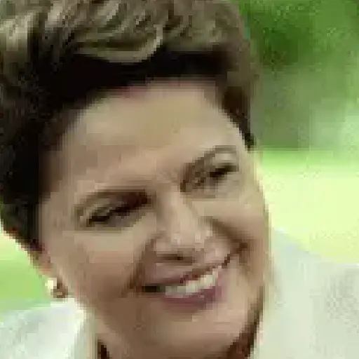 POLÍTICA 8