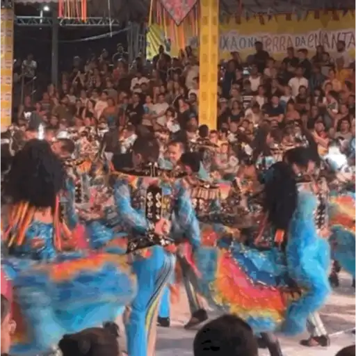 Paixao 11