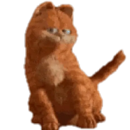 Gatitos ^_^ 9