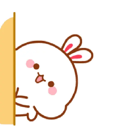 The little bunny 5 18