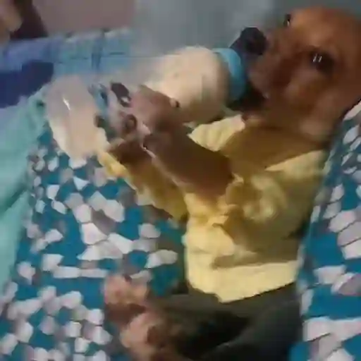 🎵 TIKTOKeando 10🎵 14