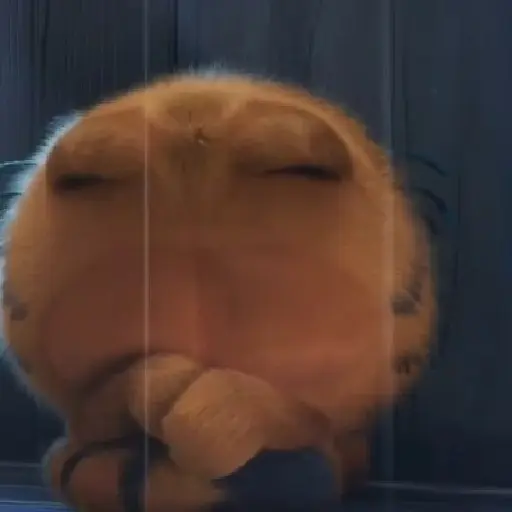 Garfield Movie 📽 2024💖MOV 2