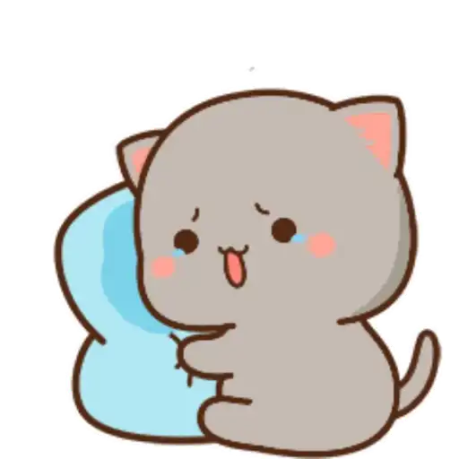 Mochi Peach cat 14 6