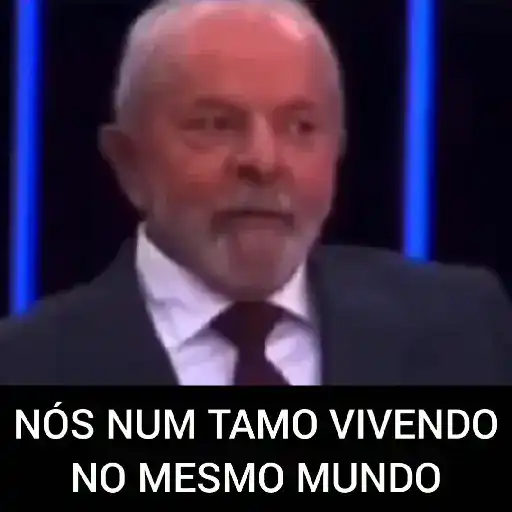 POLÍTICA 13