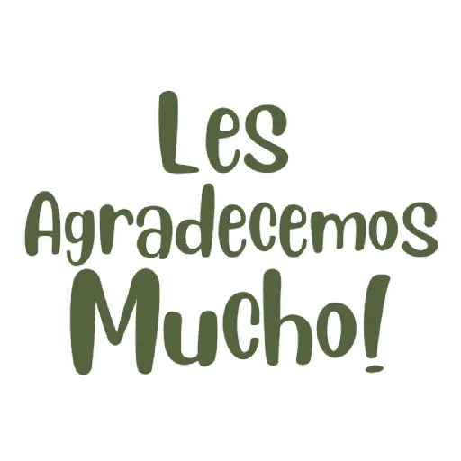 ▪︎GRATITUD  14