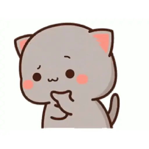 Kucing Hitamm 3