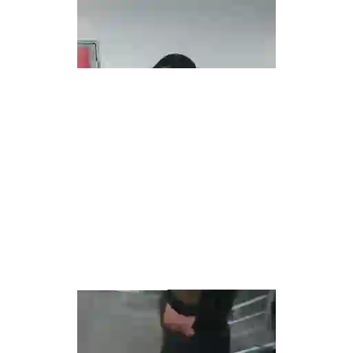 GIF 1 3