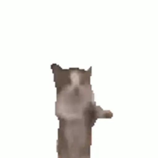 Gifs 8