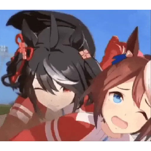 Animani 6