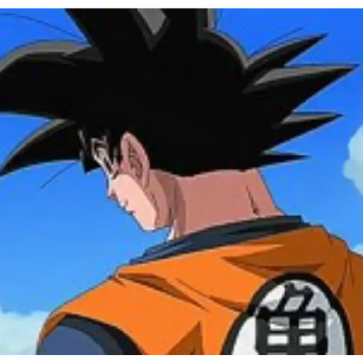 Goku 14