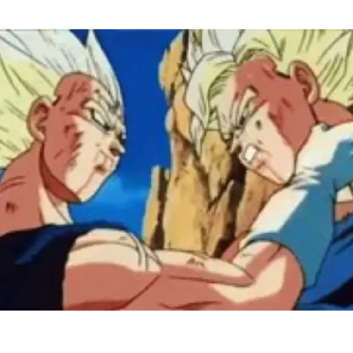 Goku 17