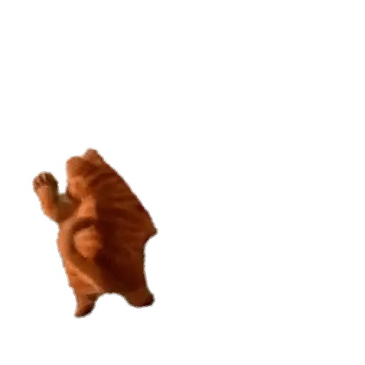 Gatitos ^_^ 10