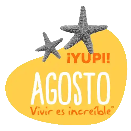 Meses del año 🗓 2