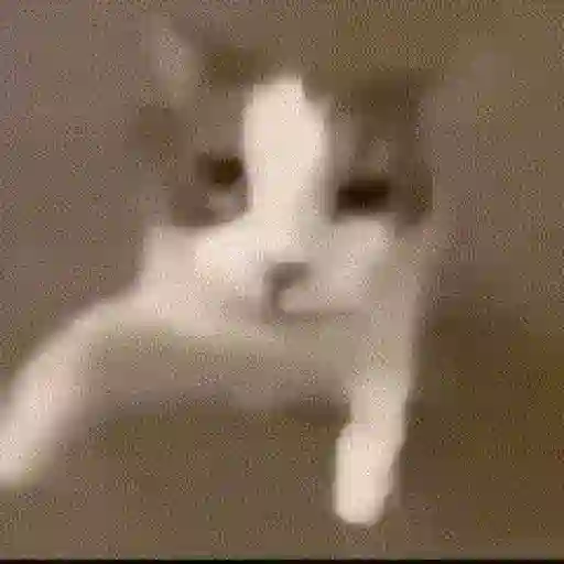 Shitpost 19