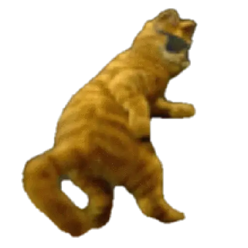 Gatitos ^_^ 11