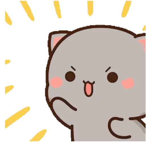Mochi Peach cat 14 2
