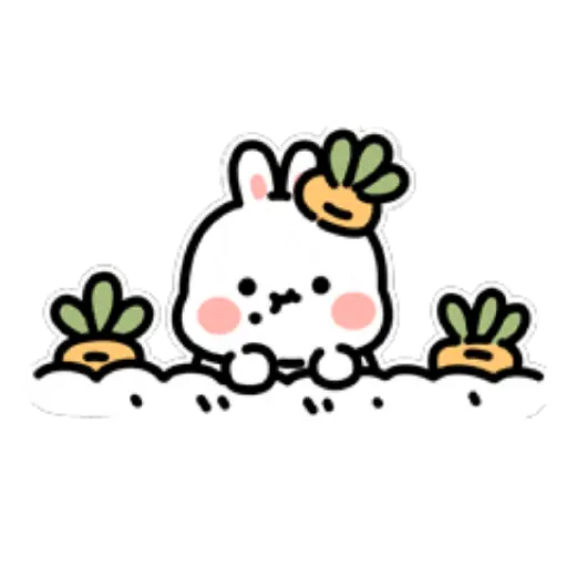 Bunny 3