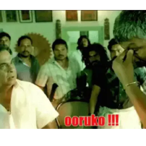 Brahmi 1.0 30