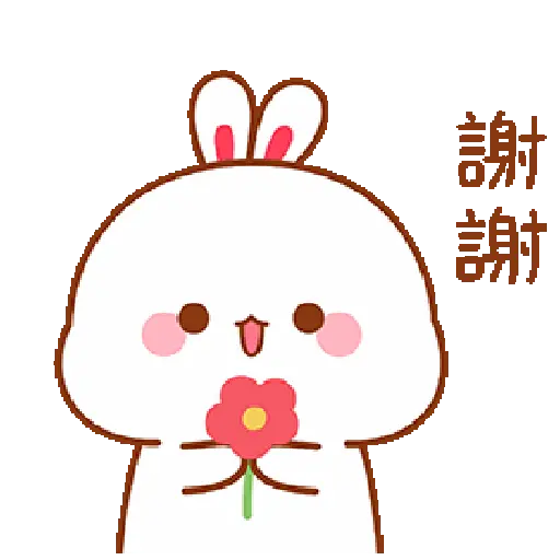 The little bunny 5 8