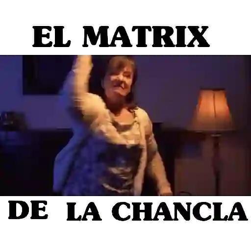 Música  11