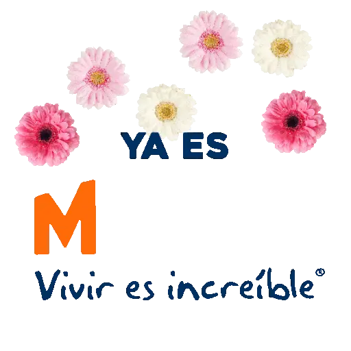 Meses del año 🗓 8