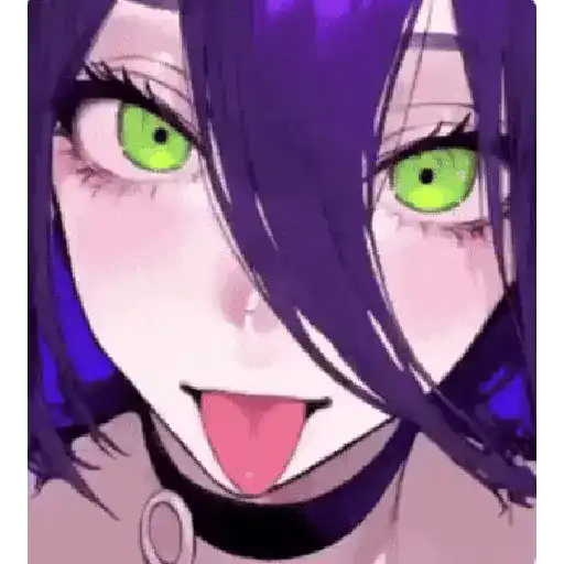 Animani 12