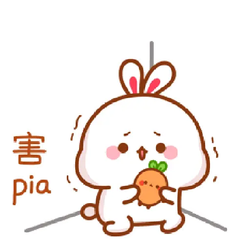 The little bunny 5 19
