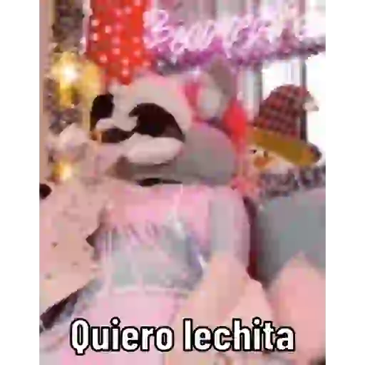 Burrita burrona 8