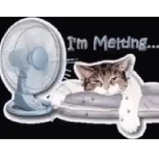 SED - CALOR - BAÑARSE 17