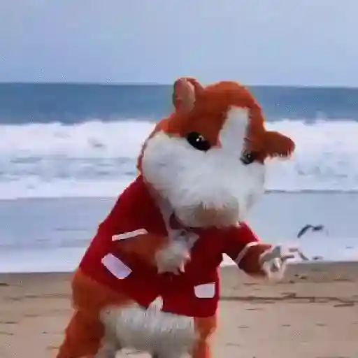 🎵 TIKTOKeando 10🎵 17