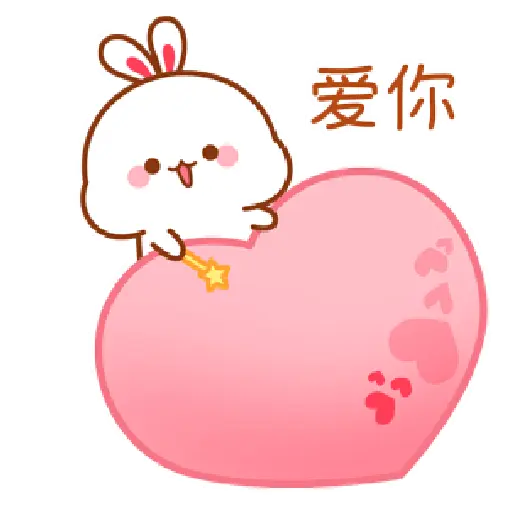 The little bunny 5 21